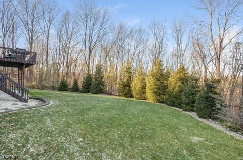 18 Conifer Dr, Mendham, NJ 07945 photo 23