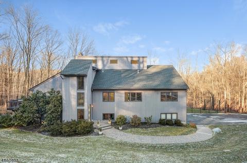 18 Conifer Dr, Mendham, NJ 07945 photo 24