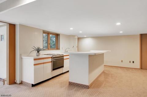 115 Division Ave, Summit, NJ 07901 photo 17