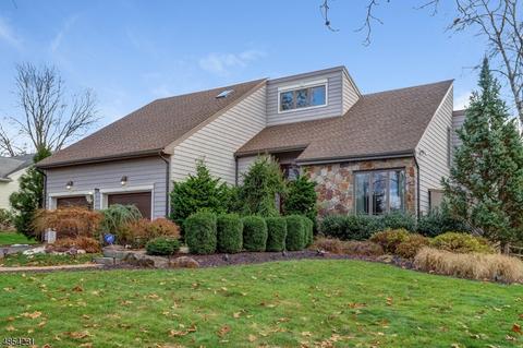 29 Compton Ct, Basking Ridge, NJ 07920 photo 1