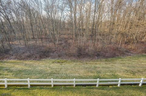30 Baldwin Ct, Basking Ridge, NJ 07920 photo 16