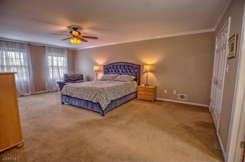 3 Sutton Ct, Mendham, NJ 07945 photo 19