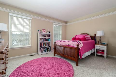 5 Turtle Ct, Flemington, NJ 08822 photo 23