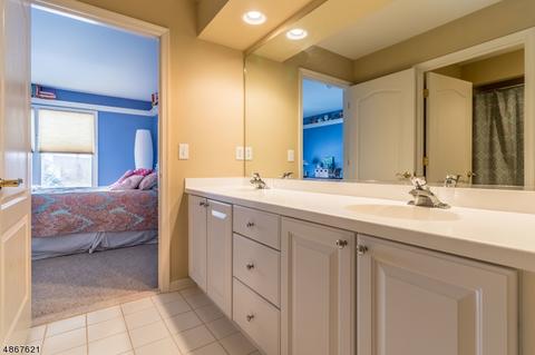 5 Turtle Ct, Flemington, NJ 08822 photo 24