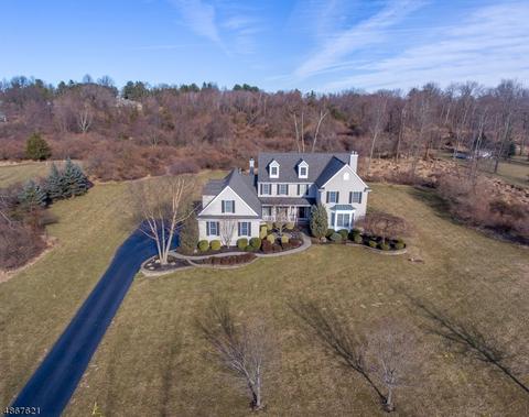 5 Turtle Ct, Flemington, NJ 08822 photo 3