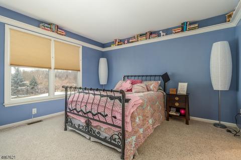 5 Turtle Ct, Flemington, NJ 08822 photo 22