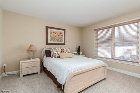 5 Turtle Ct, Flemington, NJ 08822 photo 16