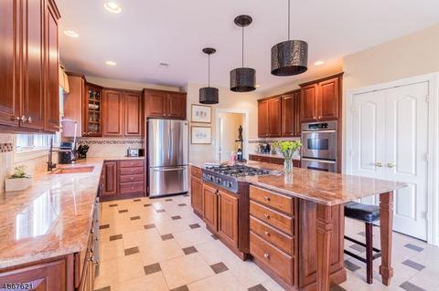 5 Turtle Ct, Flemington, NJ 08822 photo 8