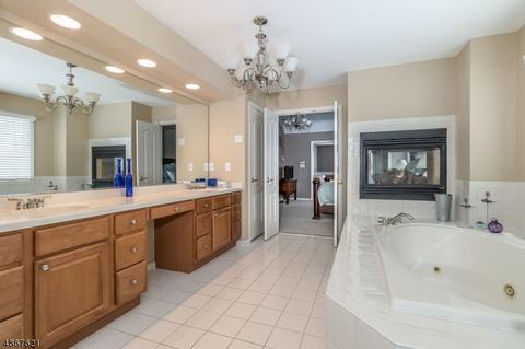 5 Turtle Ct, Flemington, NJ 08822 photo 21