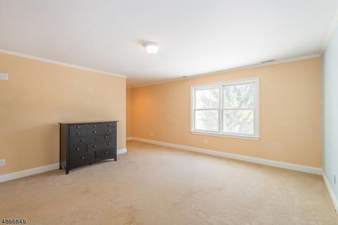 150 Circle View Ave, Berkeley Heights, NJ 07922 photo 17