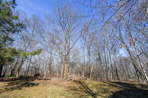 51 Spring Hill Cir, Wayne, NJ 07470 photo 19