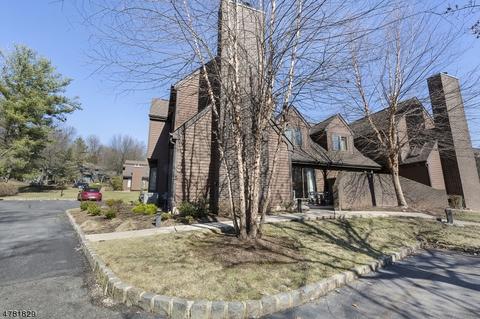 9 Valley View Dr, Bernards, NJ 07920 photo 24