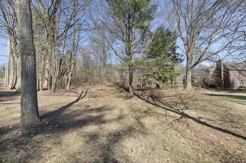 9 Valley View Dr, Bernards, NJ 07920 photo 20