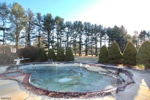 11 Corey Ln, Mendham, NJ 07945 photo 4
