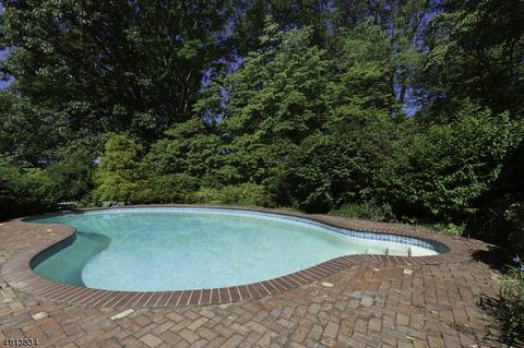 2 Summit Rd, Mendham, NJ 07945 photo 20