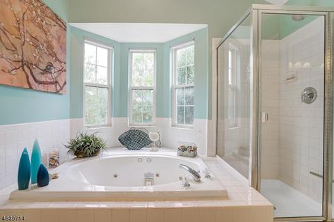20 Clark Ct, Bernards, NJ 07920 photo 23