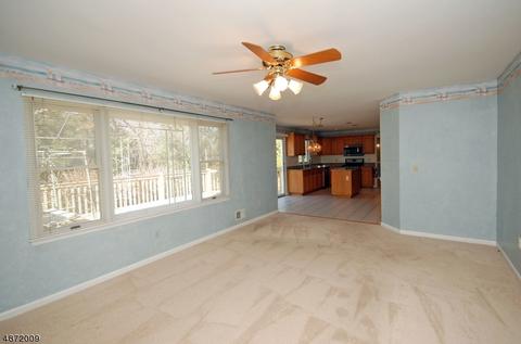 3 Pittenger Rd, Readington Twp., NJ 08887 photo 11