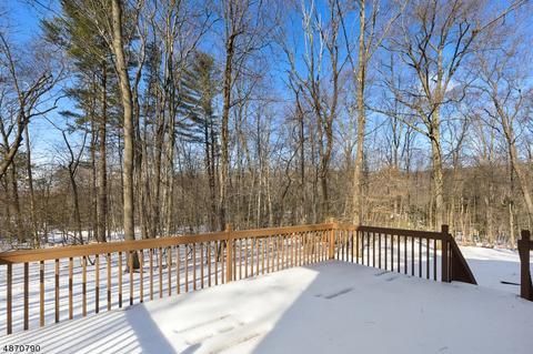 3 Exeter Way, Roxbury Twp., NJ 07876 photo 8
