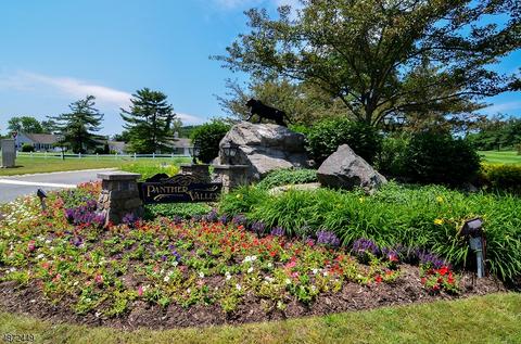 15 Marsh Hawk, Hackettstown, NJ 07840 photo 17
