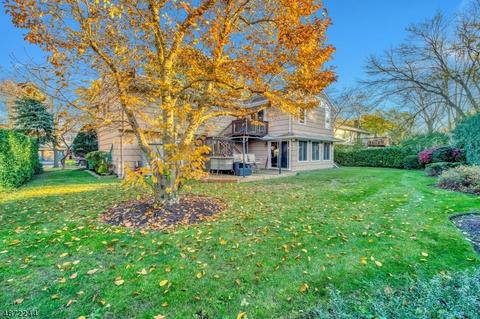 745 Walnut St, Paramus, NJ 07652 photo 22