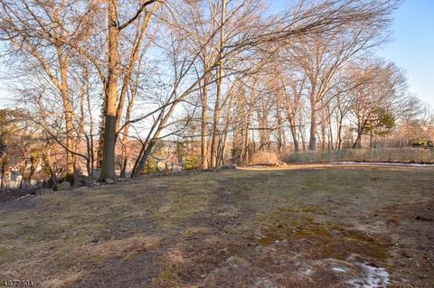 49 Kossuth Pl, Wayne, NJ 07470 photo 18