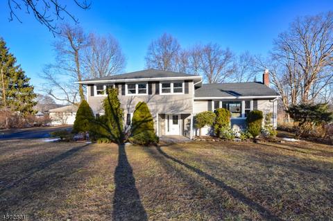 49 Kossuth Pl, Wayne, NJ 07470 photo 1