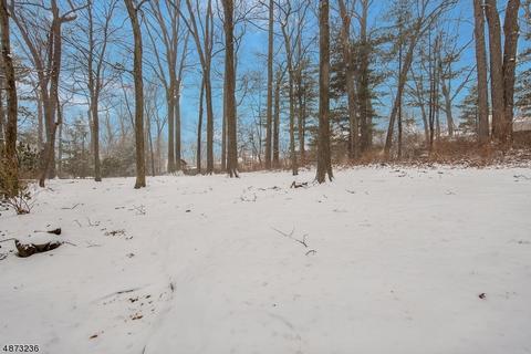 397 Rolling Rock Rd, Springfield, NJ 07081 photo 21