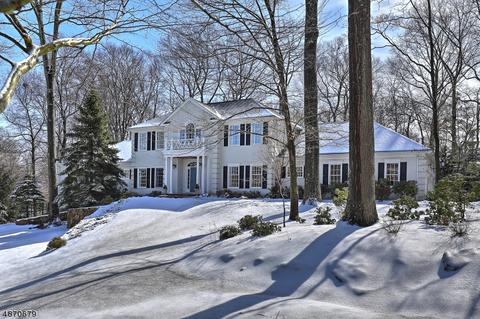 3 Linsey Ct, Mendham, NJ 07945 photo 1