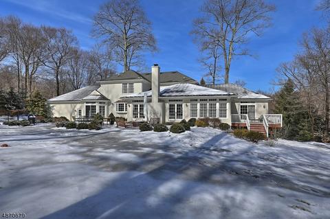 3 Linsey Ct, Mendham, NJ 07945 photo 25