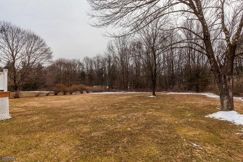 9 Valley Way, Mendham, NJ 07945 photo 21