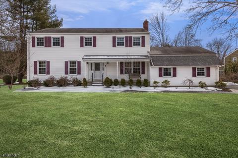 9 Valley Way, Mendham, NJ 07945 photo 1