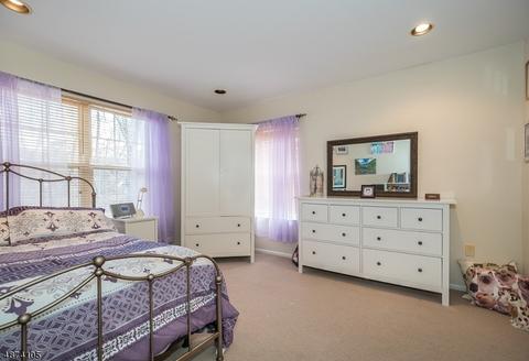 15 Micheline Ct, Wayne, NJ 07470 photo 21