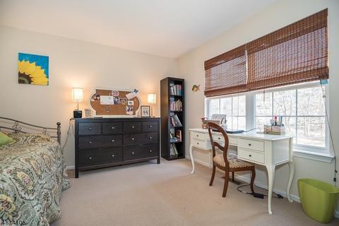 15 Micheline Ct, Wayne, NJ 07470 photo 20