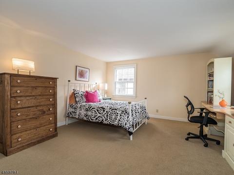 13 Bailey Rd, Millburn, NJ 07041 photo 14