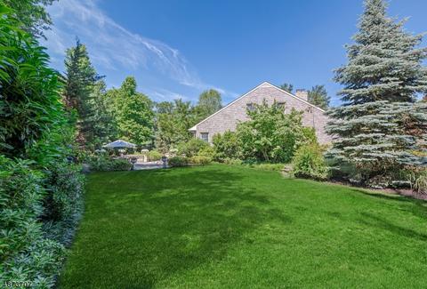 27 Tree Top Dr, Springfield, NJ 07081 photo 23