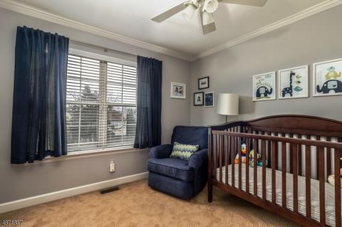 6 Mohawk Trl, Somerville, NJ 08876 photo 21