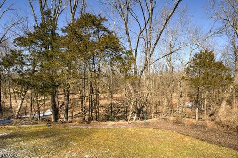 134 Readington Rd, Somerville, NJ 08876 photo 22