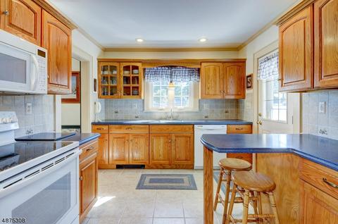 134 Readington Rd, Somerville, NJ 08876 photo 9