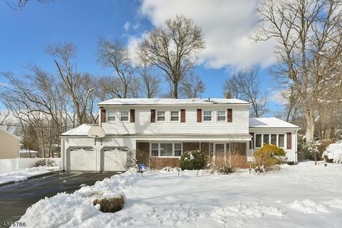 36 Monterey Dr, Wayne, NJ 07470 photo 1