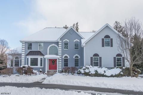 1 Ursula Ct, Mendham, NJ 07945 photo 25