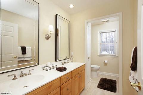 8 Mcvickers Ln, Mendham, NJ 07945 photo 19