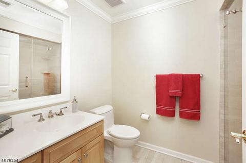 8 Mcvickers Ln, Mendham, NJ 07945 photo 17