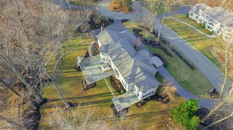 8 Mcvickers Ln, Mendham, NJ 07945 photo 25
