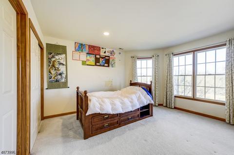 18 Squirrel Dr, Montgomery, NJ 08558 photo 19