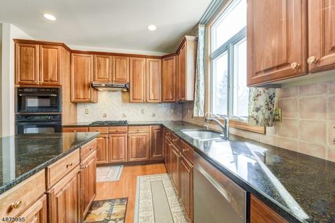 18 Squirrel Dr, Montgomery, NJ 08558 photo 10