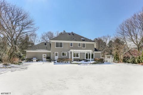 15 E Ash St, Basking Ridge, NJ 07920 photo 25