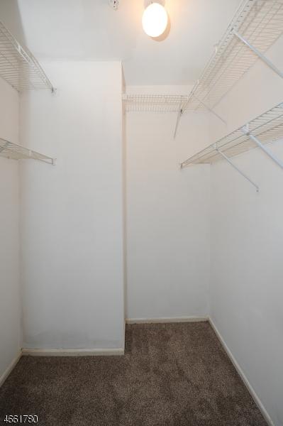 2101 Schindler Ln, Wayne, NJ 07470 photo 16