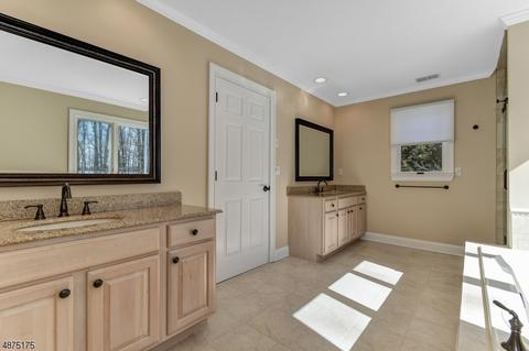 22 Shadowbrook Way, Mendham, NJ 07945 photo 15