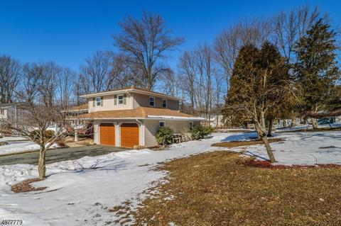 4 Andre Dr, Roxbury Twp., NJ 07876 photo 20