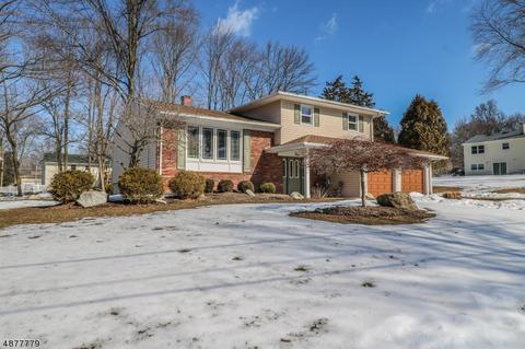 4 Andre Dr, Roxbury Twp., NJ 07876 photo 21